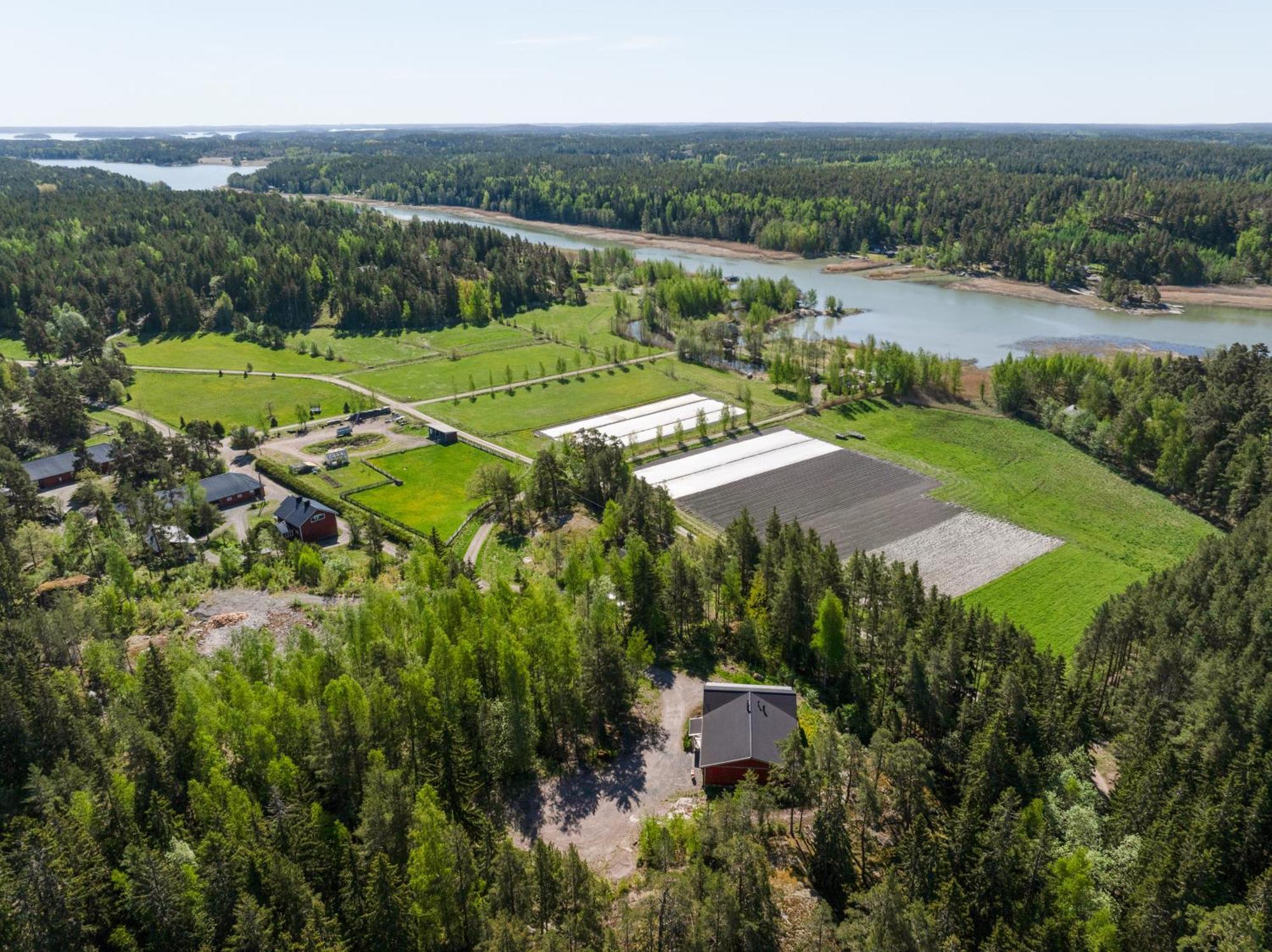 Lomahyppaeys Villa Naantali Ngoại thất bức ảnh